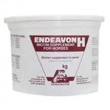 Endeavon Biotin / Vitamin H